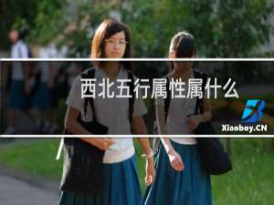 西北五行属性属什么