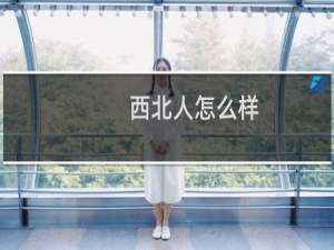 西北人怎么样