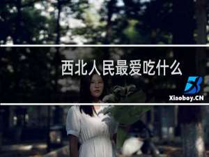 西北人民最爱吃什么