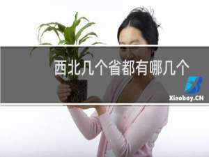 西北几个省都有哪几个