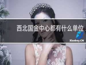 西北国金中心都有什么单位