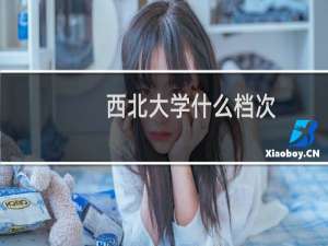 西北大学什么档次