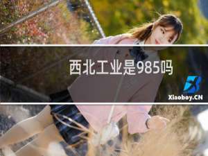 西北工业是985吗