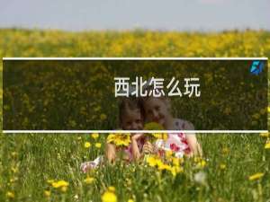 西北怎么玩