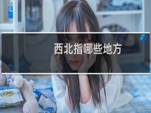 西北指哪些地方