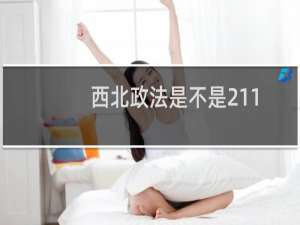 西北政法是不是211