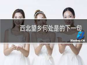 西北望乡何处是的下一句