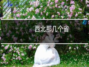 西北那几个省