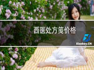 西医处方笺价格