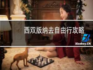 西双版纳去自由行攻略