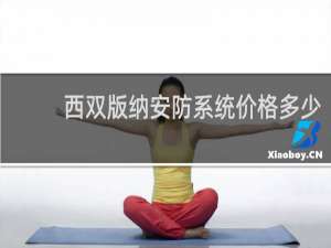 西双版纳安防系统价格多少