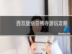 西双版纳总佛寺游玩攻略