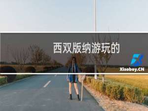 西双版纳游玩的