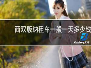 西双版纳租车一般一天多少钱