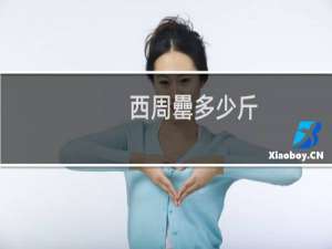 西周罍多少斤