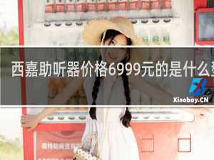 西嘉助听器价格6999元的是什么型号