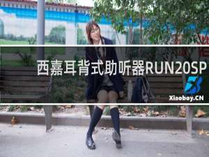 西嘉耳背式助听器RUN SP