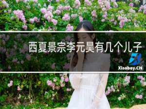 西夏景宗李元昊有几个儿子