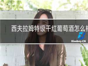 西夫拉姆特级干红葡萄酒怎么样