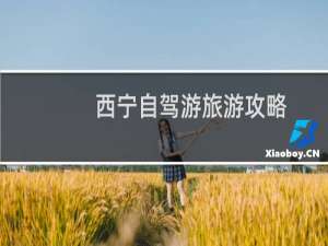 西宁自驾游旅游攻略