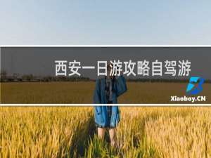 西安一日游攻略自驾游
