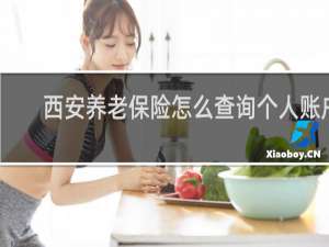 西安养老保险怎么查询个人账户
