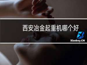 西安冶金起重机哪个好