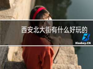 西安北大街有什么好玩的