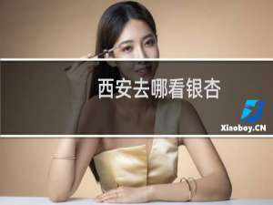 西安去哪看银杏