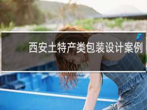 西安土特产类包装设计案例