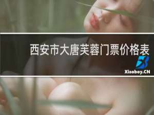 西安市大唐芙蓉门票价格表