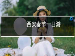 西安春节一日游