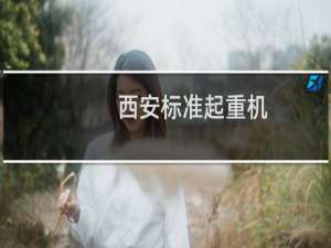 西安标准起重机
