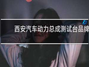 西安汽车动力总成测试台品牌