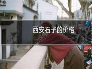 西安石子的价格