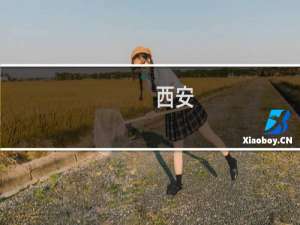西安-新疆旅游