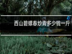 西山碧螺春炒青多少钱一斤