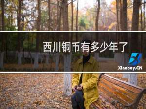 西川铜币有多少年了