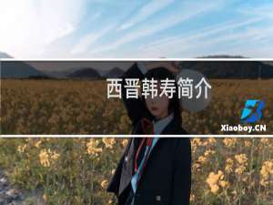 西晋韩寿简介，偷香窃玉一词跟韩寿有什么关系？