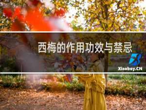 西梅的作用功效与禁忌（西梅的功效及作用）