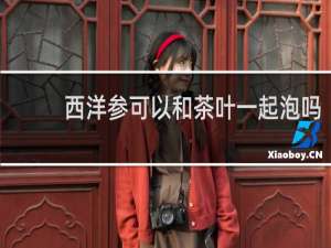 西洋参可以和茶叶一起泡吗