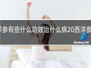 西洋参有些什么功效治什么病 西洋参功效简述