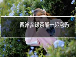 西洋参绿茶能一起泡吗