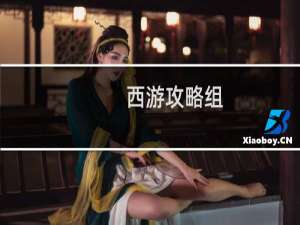 西游攻略组