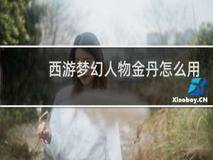 西游梦幻人物金丹怎么用