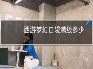 西游梦幻口袋满级多少