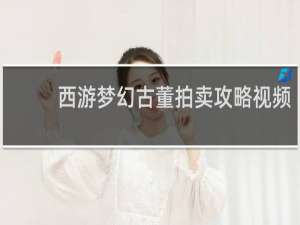 西游梦幻古董拍卖攻略视频