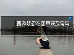 西游梦幻在哪里获取宝宝