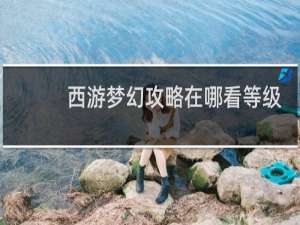 西游梦幻攻略在哪看等级