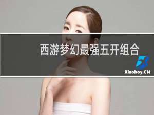 西游梦幻最强五开组合